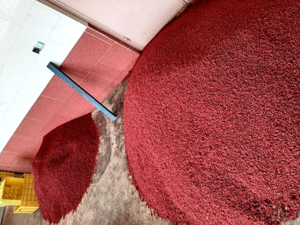 زرشک درجه یک