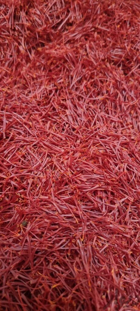 گل زعفران قائن