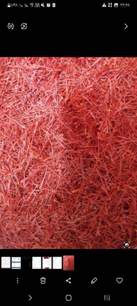 یک کیلو زعفران سوپر نگین اتویی امسالی