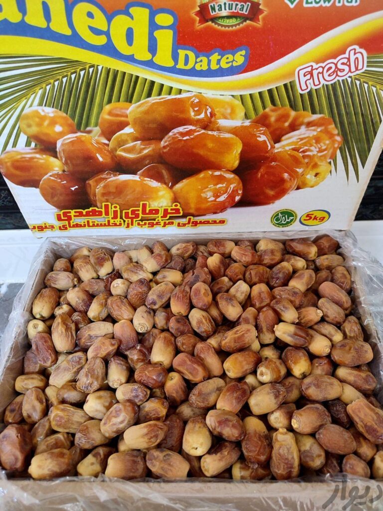 خرمای زاهدی بوشهر امسالی