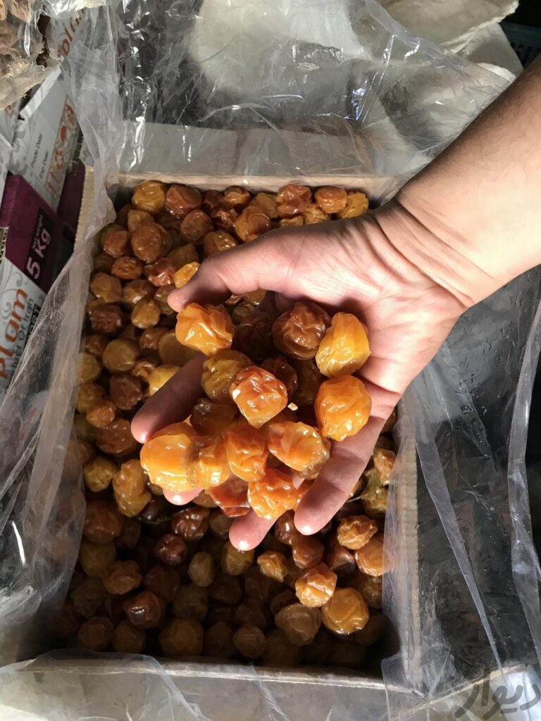 خشکبار قیصی توت آلوچه ، برگه زردآلو آلبالو قیسی