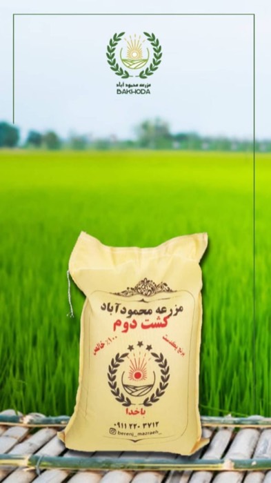 طارم هاشمی کشت