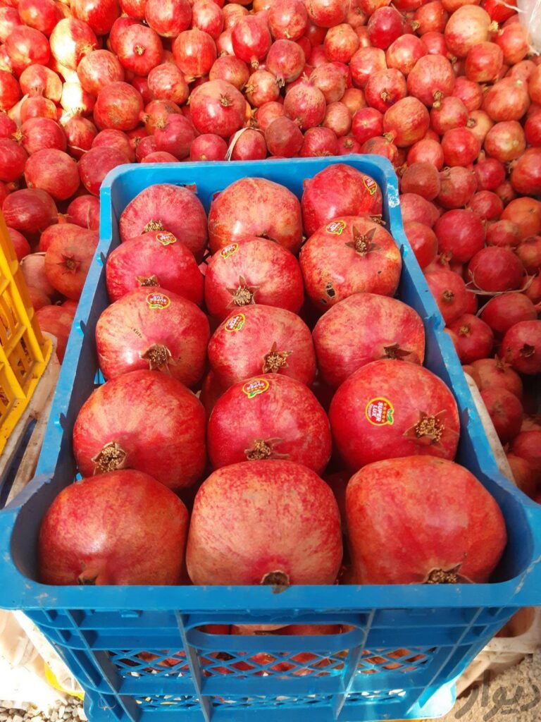 انار سالم صادراتی ملس ساوه