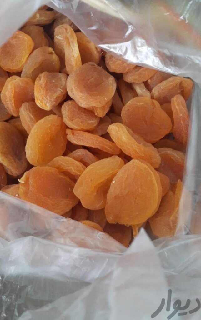 قیسی زرد آلو