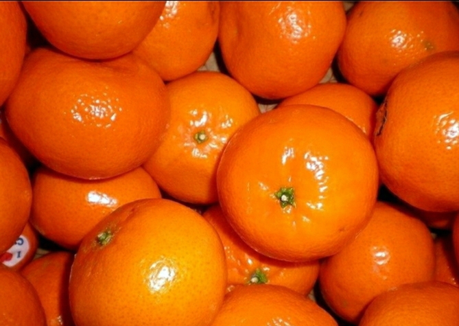 نارنگی درجه 1 صادراتی