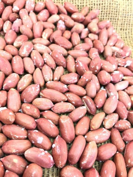 بادام زمینی