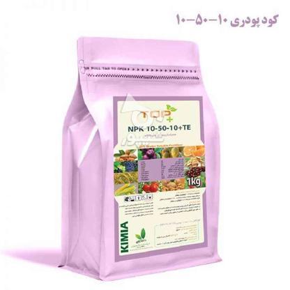 کود کامل 10-50-10 N.P.K