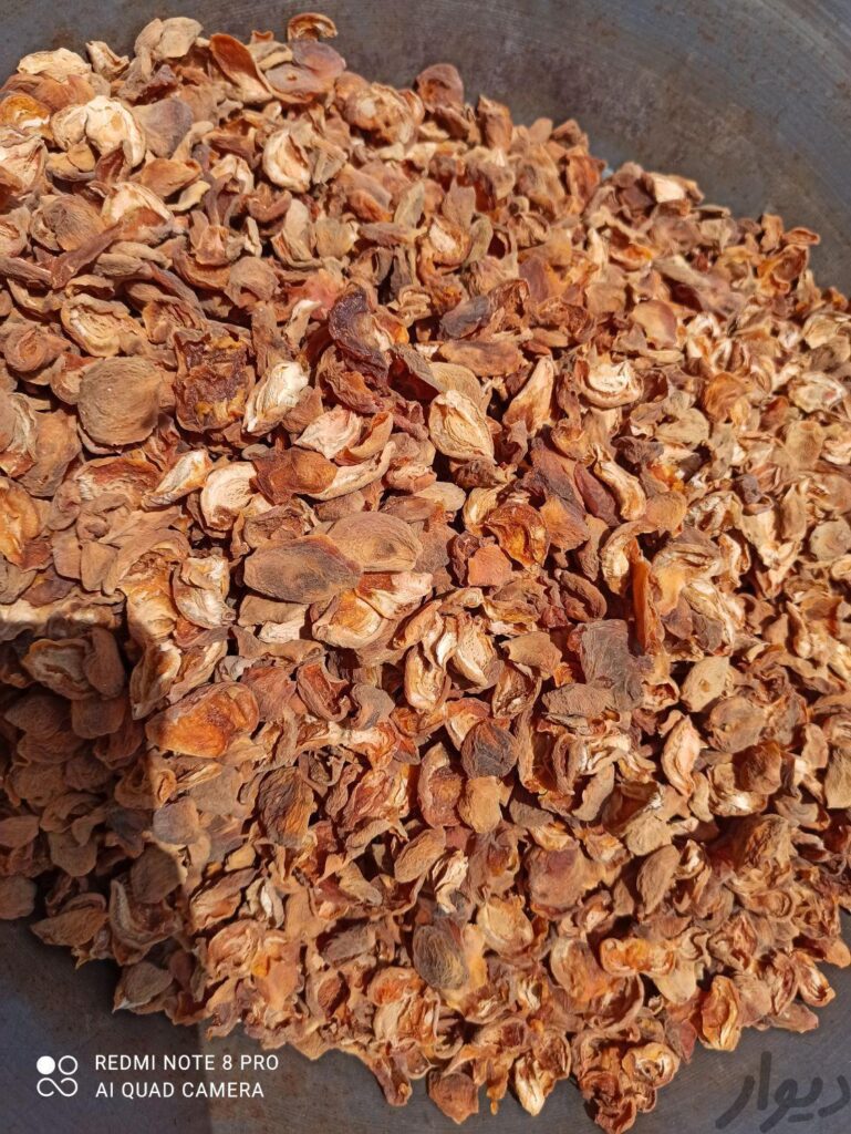 قیسی درجه یک