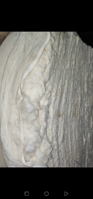 پنبه افغانستان