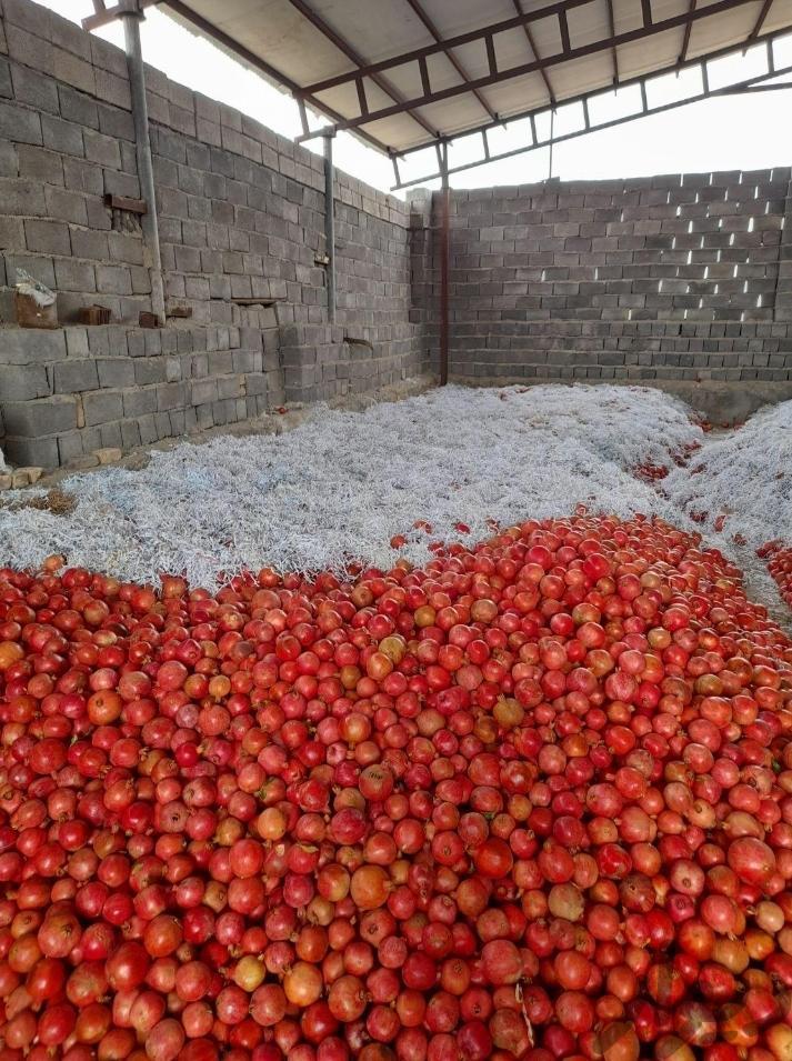 انار درجه یک