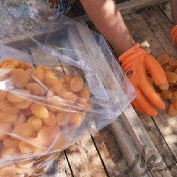 قیسی زرد آلو پر گوشت