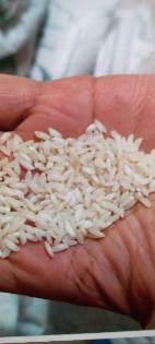 برنج محلی عنبربو