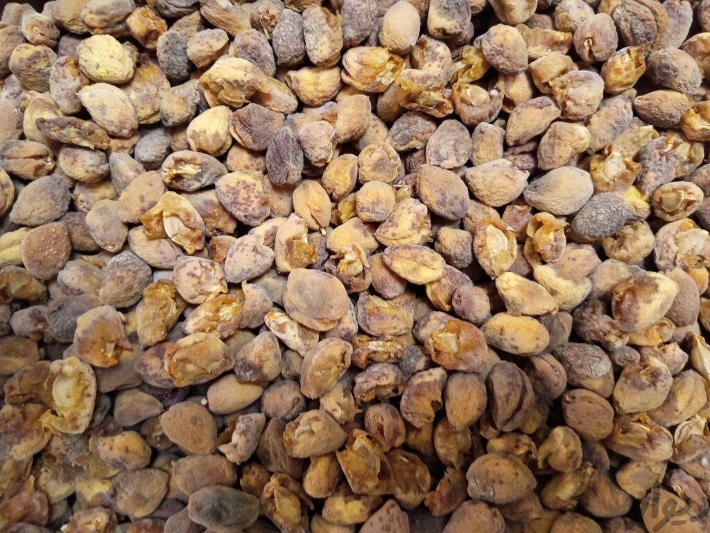 زردآلو خشک شده با هسته (قیسی) کاملا ارگانیک