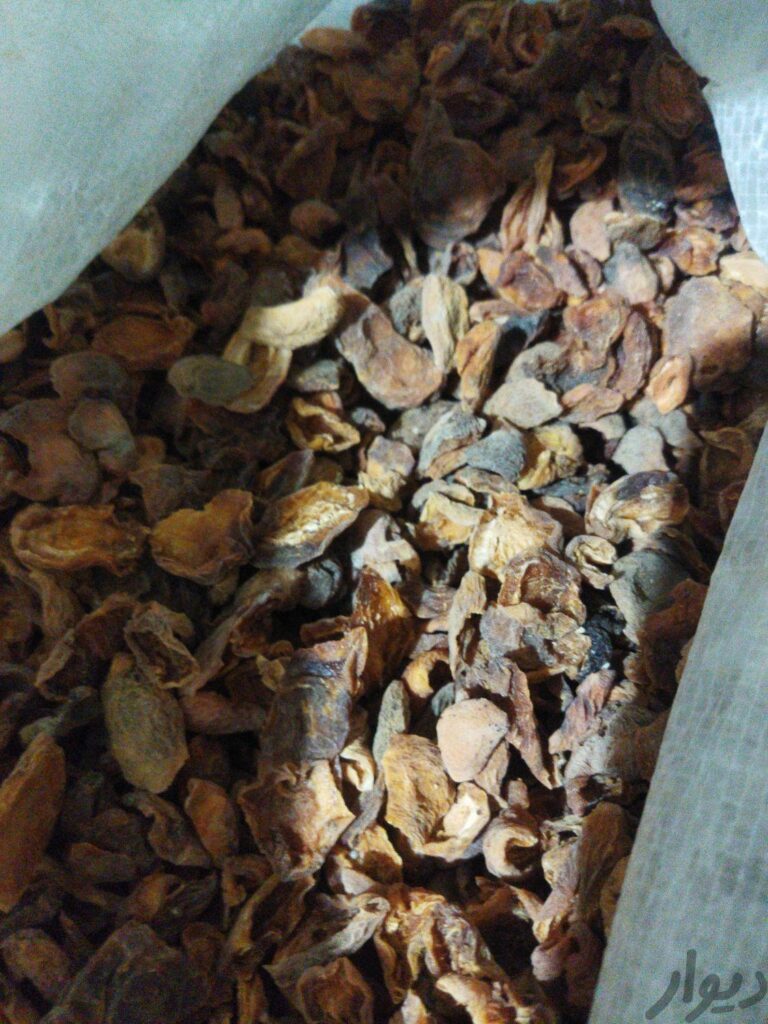 قیسی محلی بوملیس آو