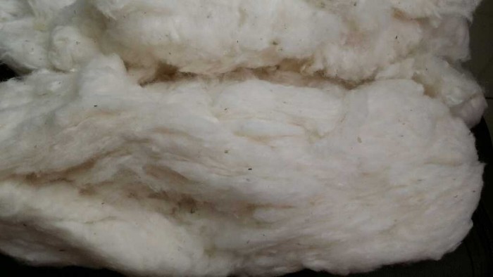 پنبه حلاجی شده اعلاء افغان