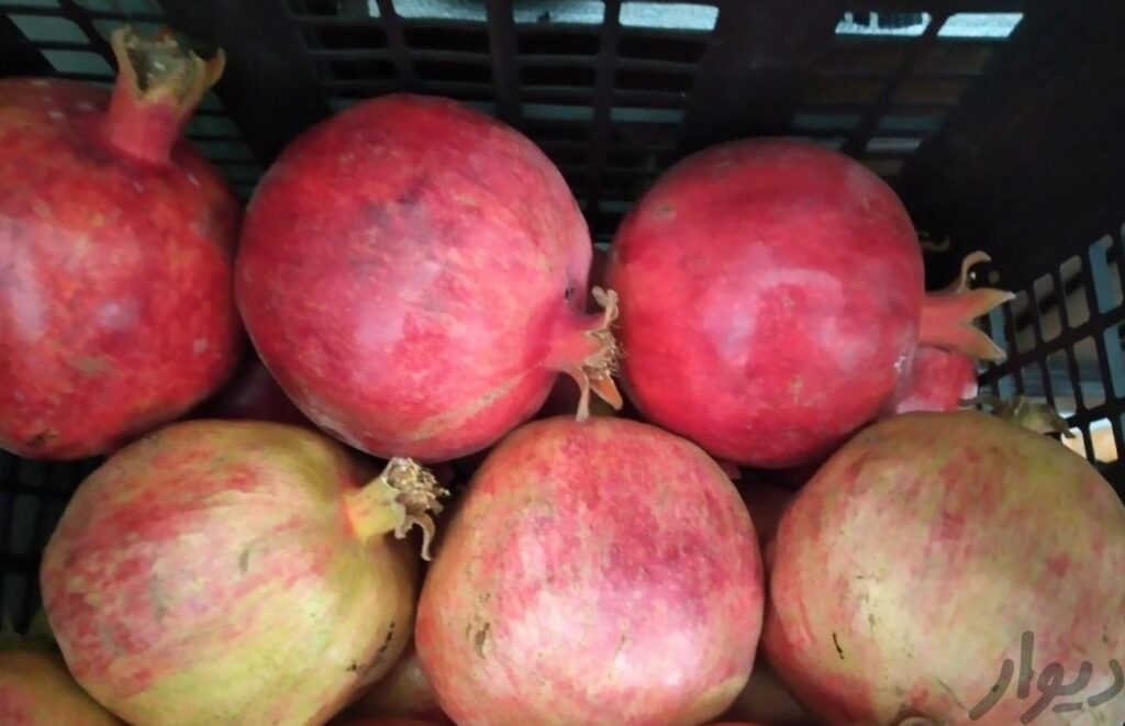 انار درجه یک