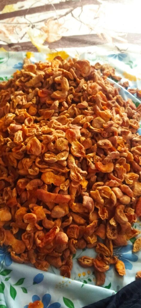 زردالو خشک (قیسی)