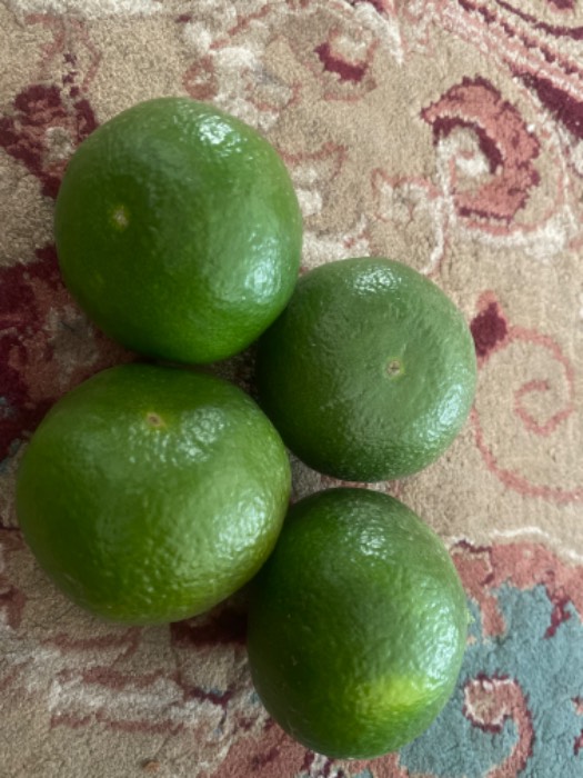 نارنگی ژاپنی