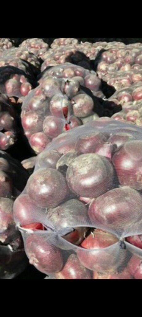 پیاز درجه یک