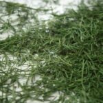 فروش انواع سبزی خشک