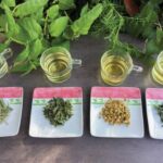 فروش انواع سبزی خشک